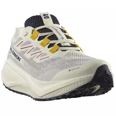 Chaussure Salomon Aero Blaze 3 GRVL GTX W blanche/bleue