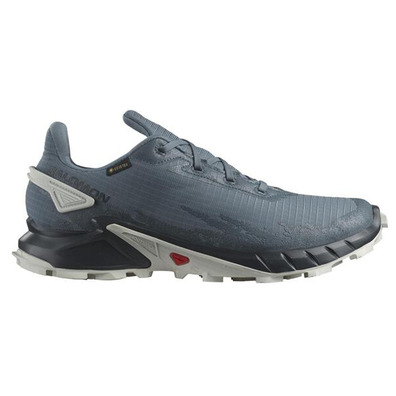 Chaussure Salomon Alphacross 4 GTX Gris