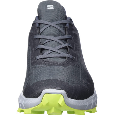 Chaussure Salomon Alphacross 4 GTX Gris/Lime