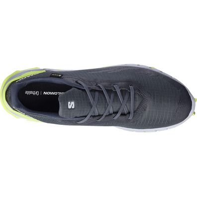 Chaussure Salomon Alphacross 4 GTX Gris/Lime