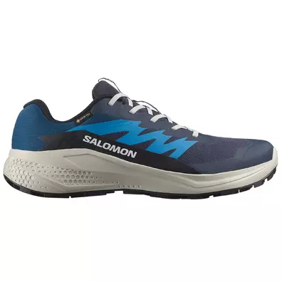 Chaussure Salomon Alphaglide GTX bleue