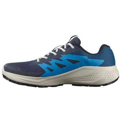 Chaussure Salomon Alphaglide GTX bleue