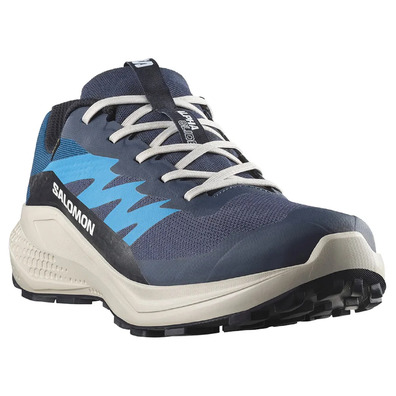 Chaussure Salomon Alphaglide GTX bleue