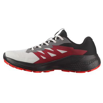 Chaussure de course Salomon Alphaglide GTX Gris/Rouge/Noir