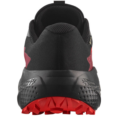 Chaussure de course Salomon Alphaglide GTX Gris/Rouge/Noir