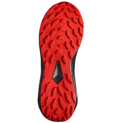 Chaussure de course Salomon Alphaglide GTX Gris/Rouge/Noir