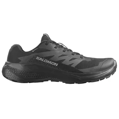 Chaussure Salomon Alphaglide GTX noire