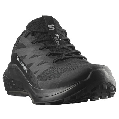 Chaussure Salomon Alphaglide GTX noire
