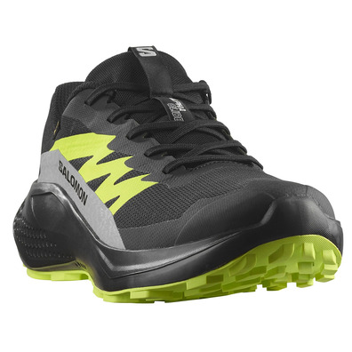 Chaussure de course Salomon Alphaglide GTX Noir/Vert citron