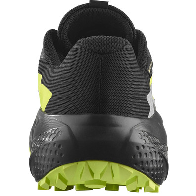 Chaussure de course Salomon Alphaglide GTX Noir/Vert citron