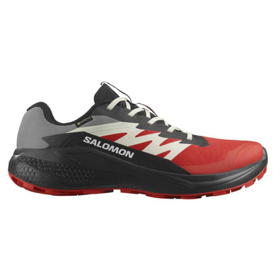 Chaussures Salomon Alphaglide GTX Rouge/Noir