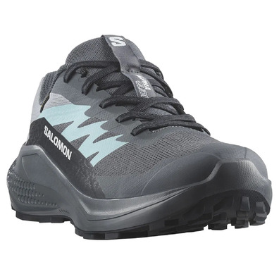 Chaussure Salomon Alphaglide GTX W Gris/Aigue-marine