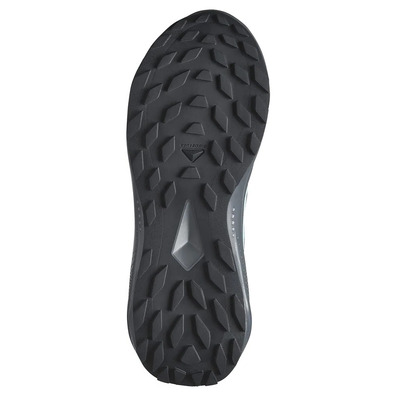 Chaussure Salomon Alphaglide GTX W Gris/Aigue-marine