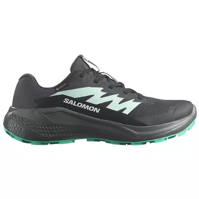 Chaussure Salomon Alphaglide GTX W Noir/Vert