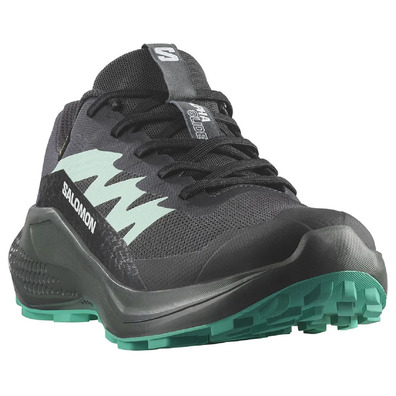 Chaussure Salomon Alphaglide GTX W Noir/Vert