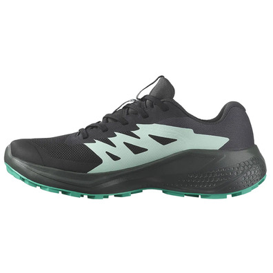 Chaussure Salomon Alphaglide GTX W Noir/Vert