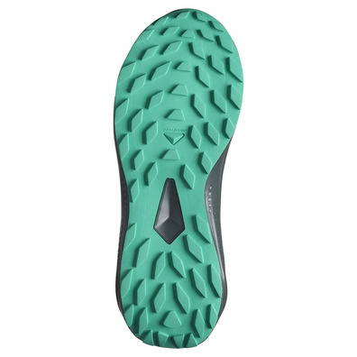 Chaussure Salomon Alphaglide GTX W Noir/Vert