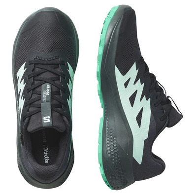 Chaussure Salomon Alphaglide GTX W Noir/Vert
