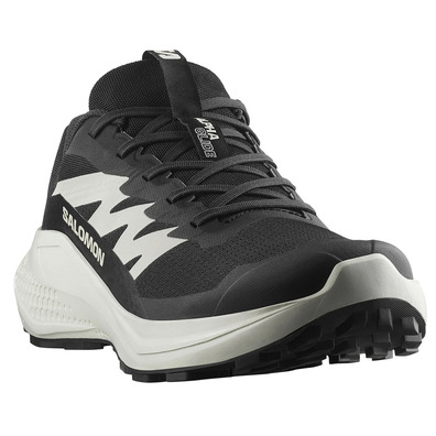Chaussure de course Salomon Alphaglide Nonir/Blanc