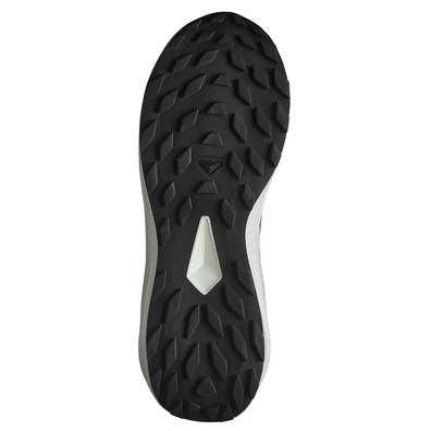 Chaussure de course Salomon Alphaglide Nonir/Blanc