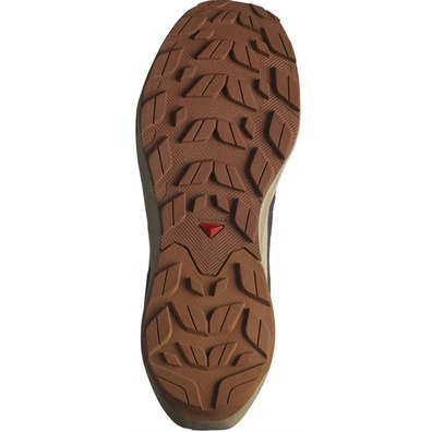 Baskets Salomon Elixir Activ GTX Gris/Beige