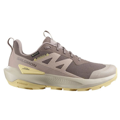 Chaussure de course Salomon Elixir Activ GTX W Marron/Jaune
