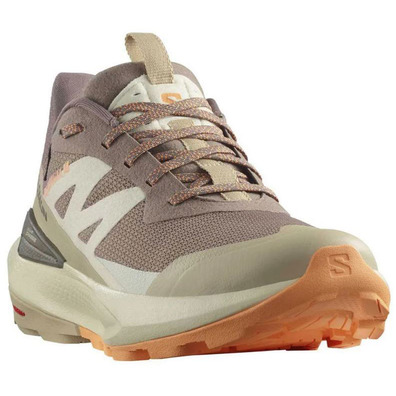 Chaussure Salomon Elixir Activ GTX W Marron/Beige