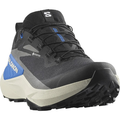 Chaussures Salomon Genesis GTX Noir/Bleu