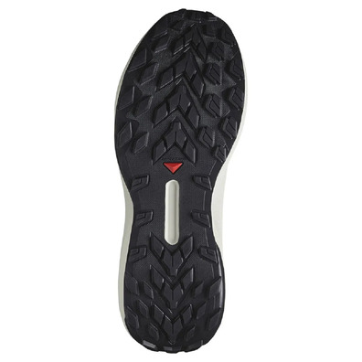 Chaussures Salomon Genesis GTX Noir/Bleu