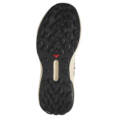 Chaussures Salomon Genesis GTX W Noir/Rose