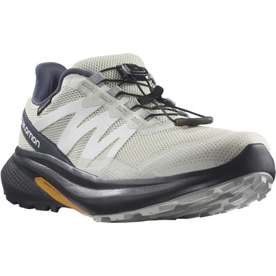 Chaussures Salomon Hypulse GTX W Blanc/Gris/Noir