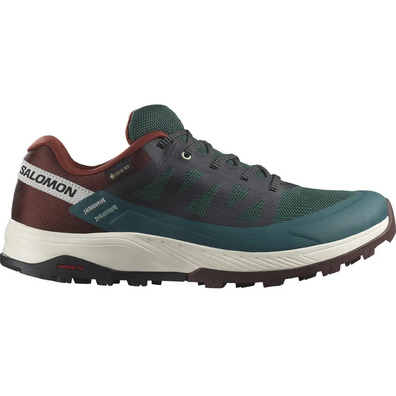 Baskets Salomon Outrise Gtx Vert/Marron
