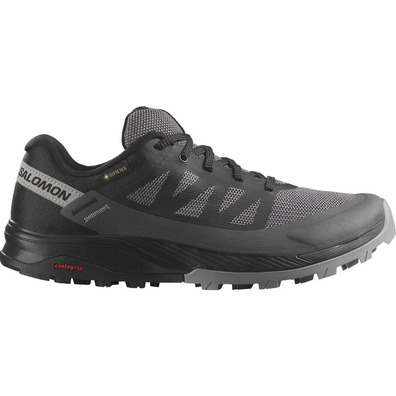 Salomon Outrise Gtx W Noir Baskets
