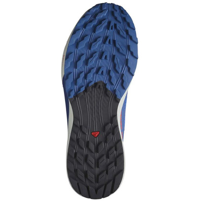 Zapatilla Salomon Sense Ride 5 Bleu/négro