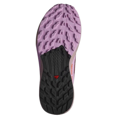 Chaussure de course Salomon Sense Ride 5 GTX Violet/Violet