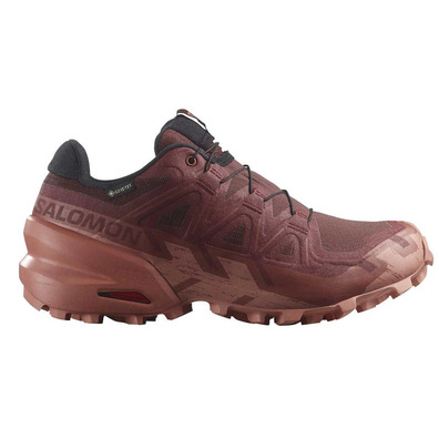 Chaussure Salomon Speedcross 6 GTX W Marron
