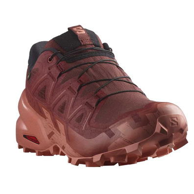 Chaussure Salomon Speedcross 6 GTX W Marron
