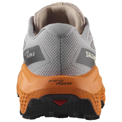 Chaussure Salomon Ultra Flow 2 GTX Gris/Orange