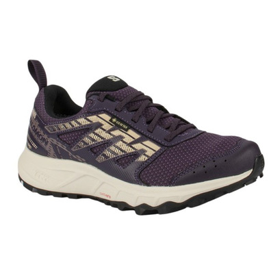 Chaussure Salomon Wander GTX W Violet