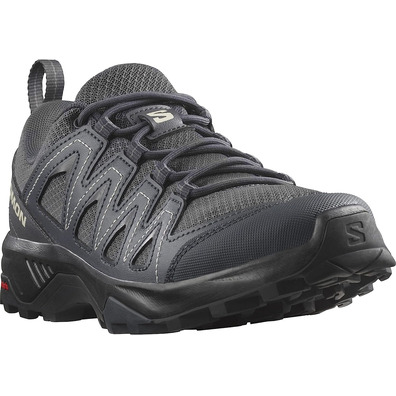 Chaussure Salomon X Braze W Gris