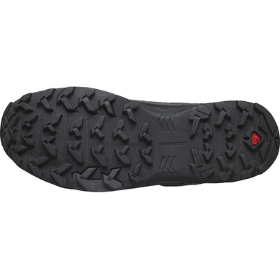 Chaussure Salomon X Braze W Gris