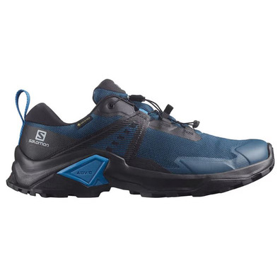 Zapatilla Salomon X Raise 2 GTX Bleu