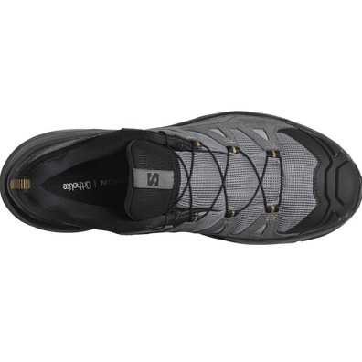 Chaussure Salomon X Ultra 360 Ltr Gtx Gris