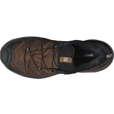 Chaussure Salomon X Ultra 360 Ltr Gtx Marron