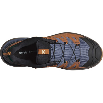 Chaussure Salomon X Ultra 360 Ltr Gtx Marron/Indigo