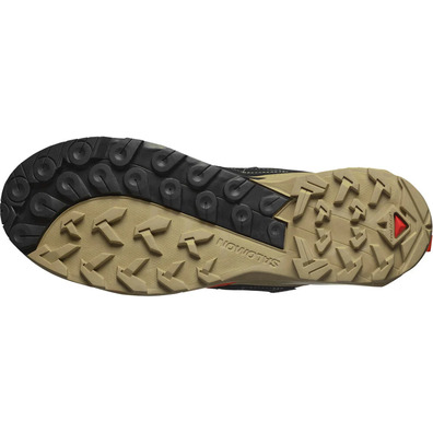 Chaussure Salomon X Ultra Alpine Gtx Beige/Noir