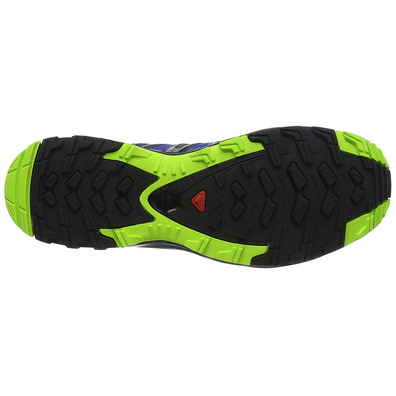 Zapatillas Salomon XA PRO 3D GTX Bleu/Négro/Lima
