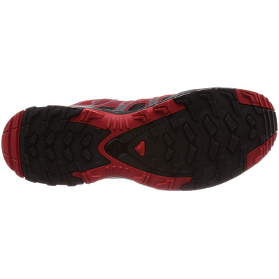 Zapatillas Salomon XA PRO 3D GTX Rouge foncé/noir