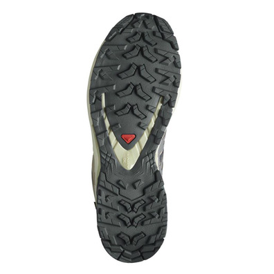 Chaussure Salomon XA PRO 3D GTX Violet/Beige