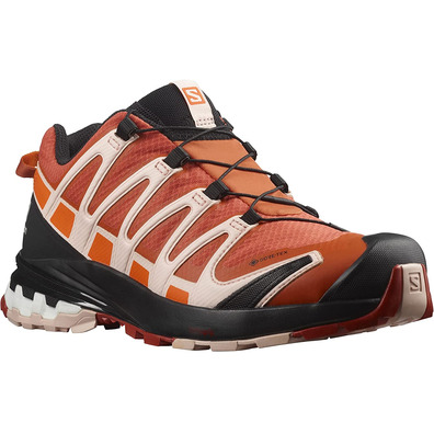 Chaussure Salomon XA PRO 3D V8 GTX W Saumon